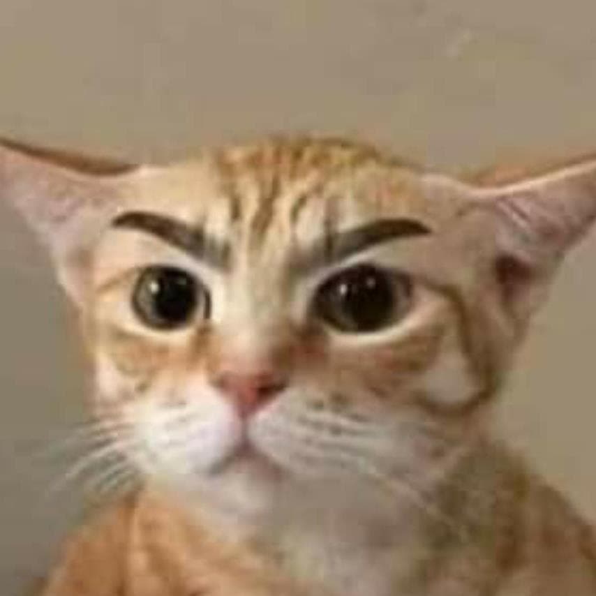 Karen Coates Nicholson